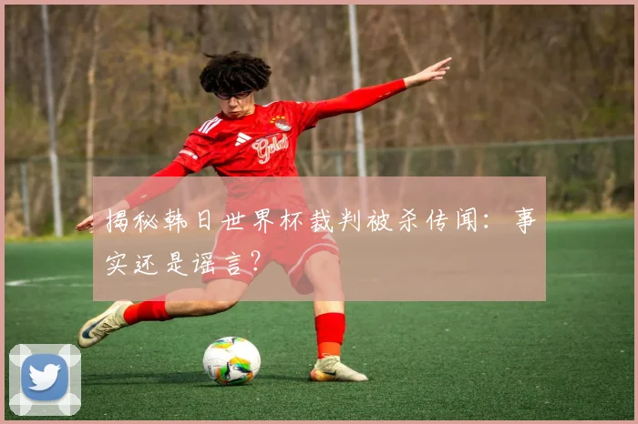 揭秘韩日世界杯裁判被杀传闻：事实还是谣言？