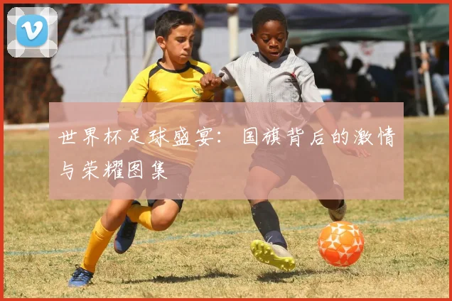 世界杯足球盛宴：国旗背后的激情与荣耀图集