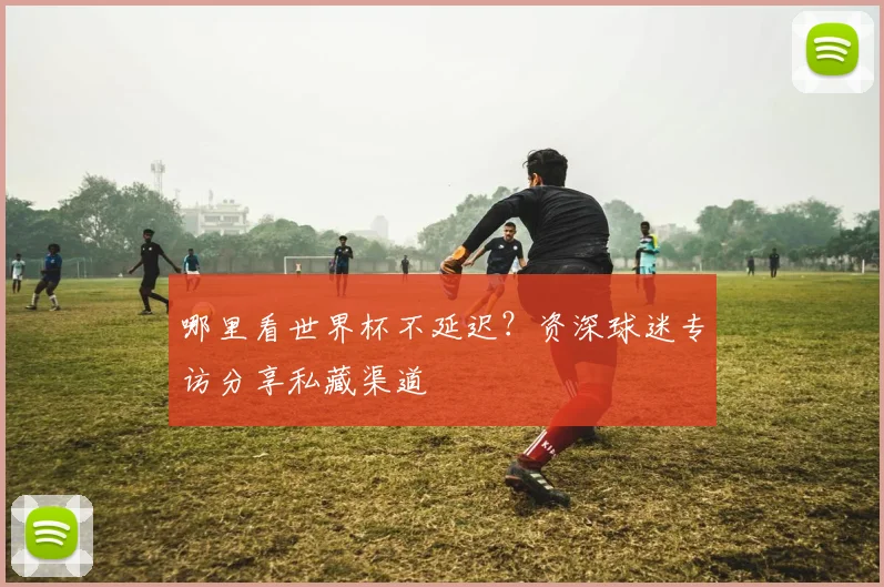 哪里看世界杯不延迟？资深球迷专访分享私藏渠道