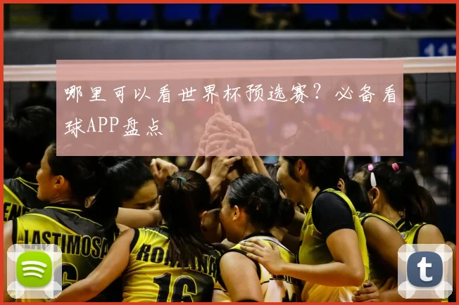 哪里可以看世界杯预选赛？必备看球APP盘点