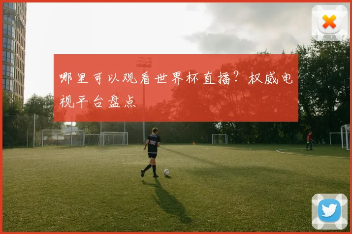 哪里可以观看世界杯直播？权威电视平台盘点